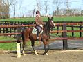 Galop 1 08 mars 2008 photo 4
